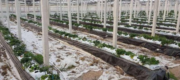 Almacén de 1 habitación en Santa Croce Camerina, Italy No. 351579 32