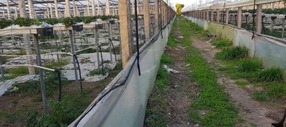 Almacén de 1 habitación en Santa Croce Camerina, Italy No. 351579 30