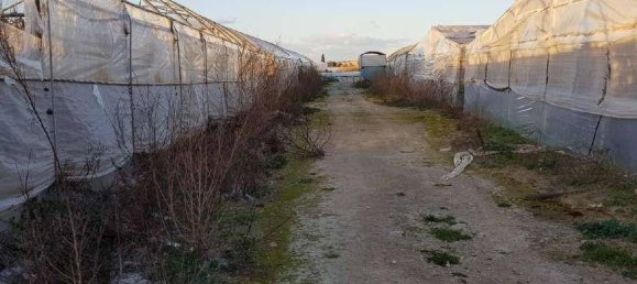 Almacén de 1 habitación en Santa Croce Camerina, Italy No. 351579 36