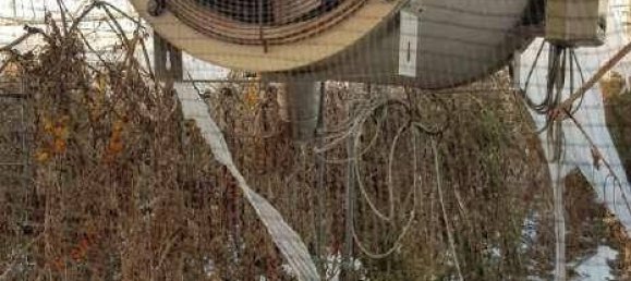 Almacén de 1 habitación en Santa Croce Camerina, Italy No. 351579 35