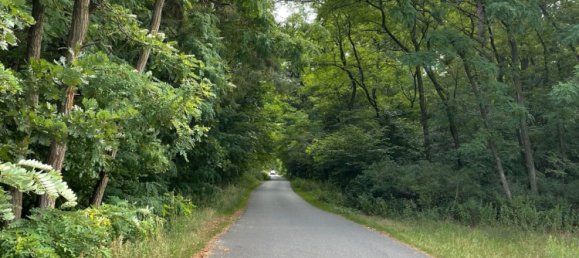  قطعة أرض في Oder-Spree, Germany رقم 359770 8