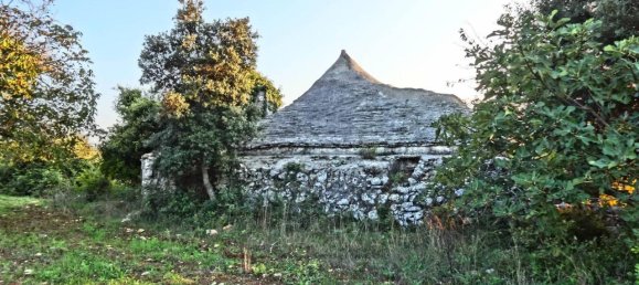 3-Zimmer Haus in Monopoli, Italy, Nr. 125383 11