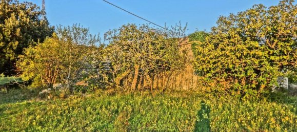 3-Zimmer Haus in Monopoli, Italy, Nr. 125383 9