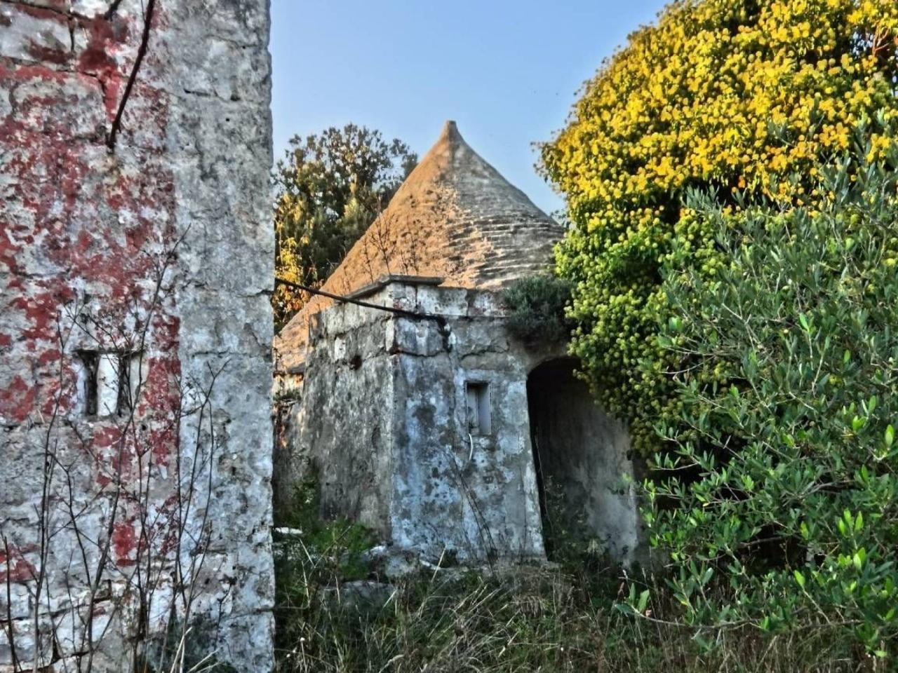 3-Zimmer Haus in Monopoli, Italy, Nr. 125383