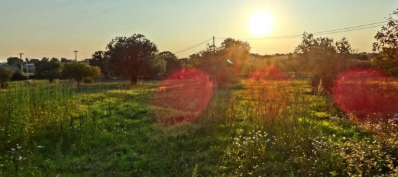 3-Zimmer Haus in Monopoli, Italy, Nr. 125383 4