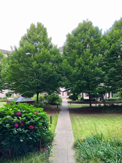 2 bedrooms Duplex in Mannheim, Germany No. 54111