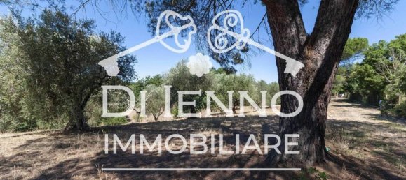 50000m² Land in Sacrofano, Italy No. 336611 7