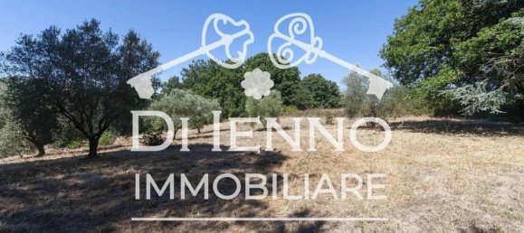 50000m² Land in Sacrofano, Italy No. 336611 4