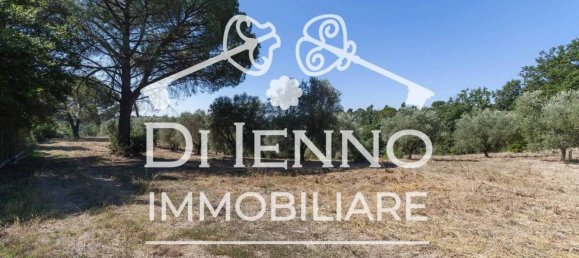 50000m² Land in Sacrofano, Italy No. 336611 3