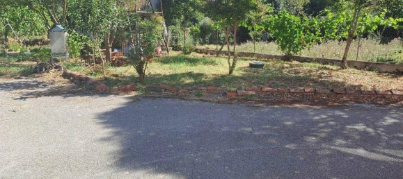 8 rooms Apartment in Scansano, Italy No. 17470 13