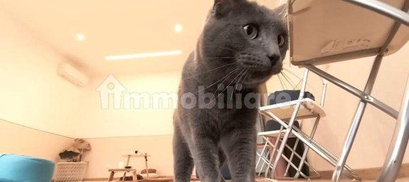 4 Schlafzimmer Haus in Ferrara, Italy, Nr. 167629 84