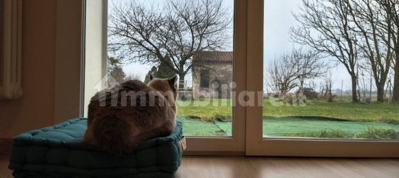 4 Schlafzimmer Haus in Ferrara, Italy, Nr. 167629 59