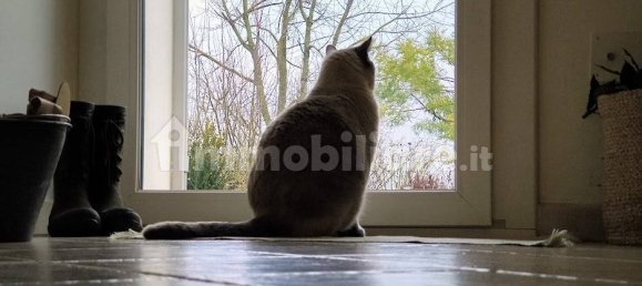 4 Schlafzimmer Haus in Ferrara, Italy, Nr. 167629 78