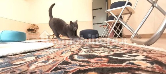 4 Schlafzimmer Haus in Ferrara, Italy, Nr. 167629 67