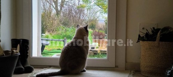 4 Schlafzimmer Haus in Ferrara, Italy, Nr. 167629 17