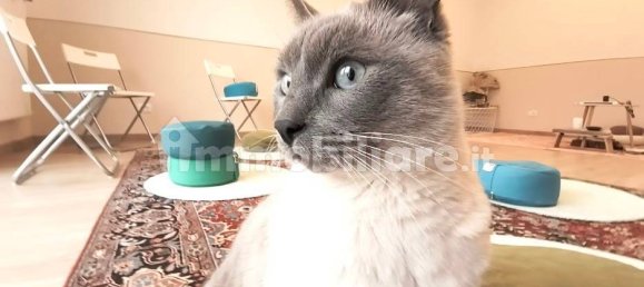 4 Schlafzimmer Haus in Ferrara, Italy, Nr. 167629 89