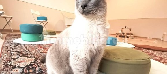 4 Schlafzimmer Haus in Ferrara, Italy, Nr. 167629 7