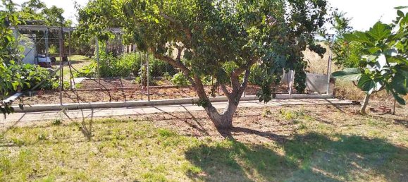 Propiedad comercial de 7 dormitorios en Aigeiros, Greece No. 2138 27