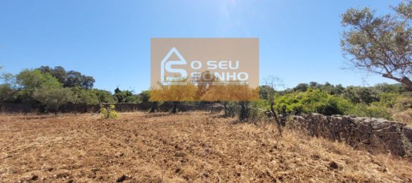 4910m² Land in Sao Bras de Alportel, Portugal No. 216728 3