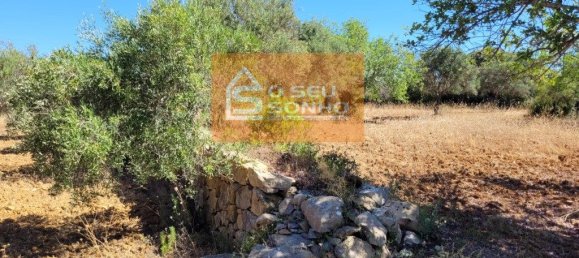 4910m² Land in Sao Bras de Alportel, Portugal No. 216728 11