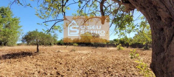 4910m² Land in Sao Bras de Alportel, Portugal No. 216728 8