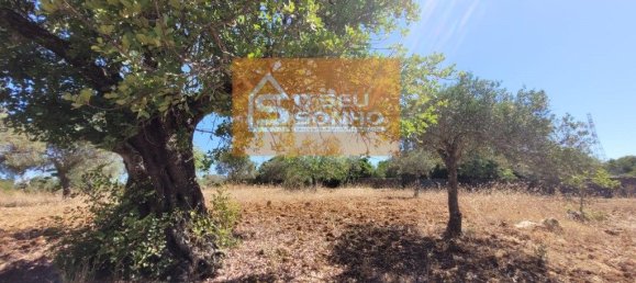 4910m² Land in Sao Bras de Alportel, Portugal No. 216728 5