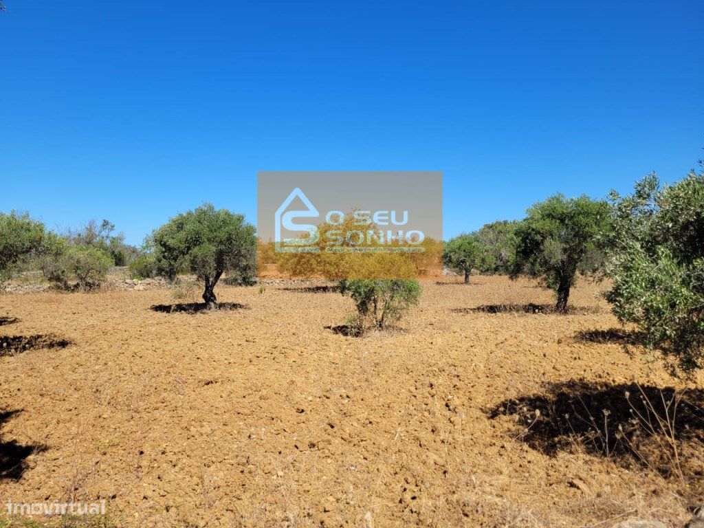 Grundstück in Sao Bras de Alportel, Portugal 4910m², Nr. 216728