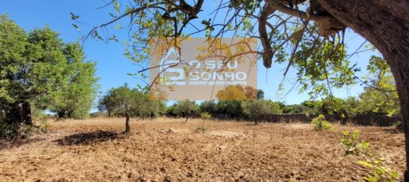 4910m² Land in Sao Bras de Alportel, Portugal No. 216728 2