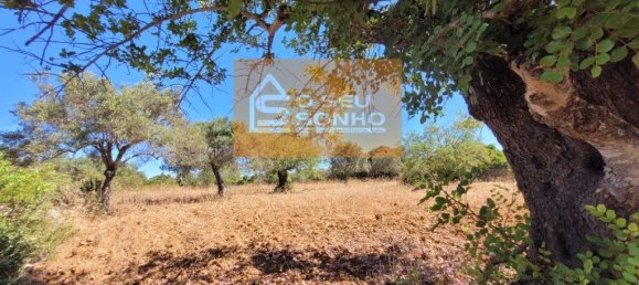 4910m² Land in Sao Bras de Alportel, Portugal No. 216728 10