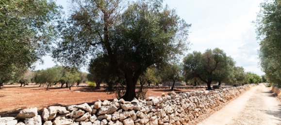 3 Schlafzimmer Haus in Ostuni, Italy, Nr. 328095 13