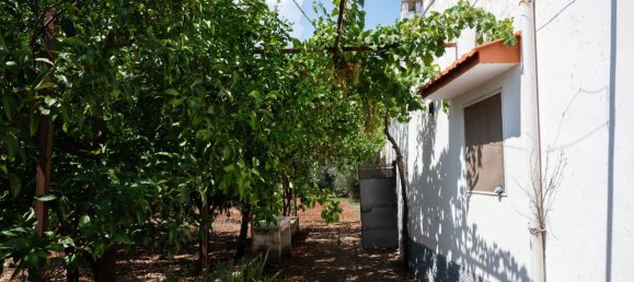 3 Schlafzimmer Haus in Ostuni, Italy, Nr. 328095 38