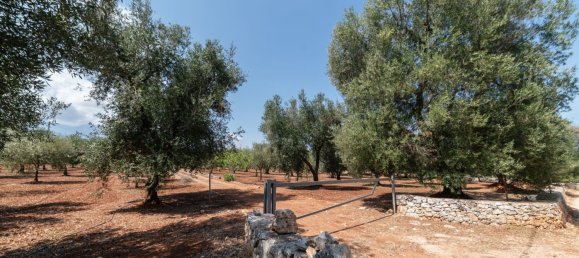 3 Schlafzimmer Haus in Ostuni, Italy, Nr. 328095 14
