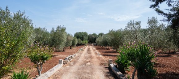 3 Schlafzimmer Haus in Ostuni, Italy, Nr. 328095 32