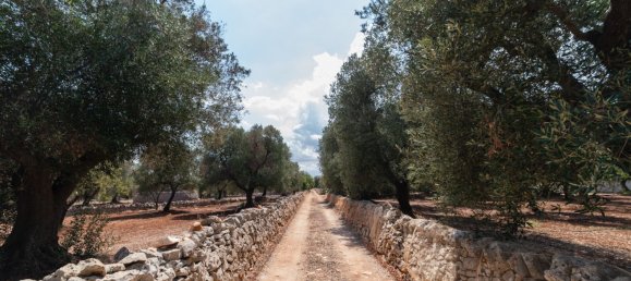 3 Schlafzimmer Haus in Ostuni, Italy, Nr. 328095 3