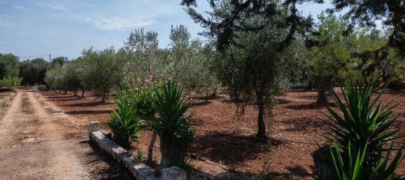 3 Schlafzimmer Haus in Ostuni, Italy, Nr. 328095 35