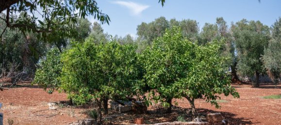 3 Schlafzimmer Haus in Ostuni, Italy, Nr. 328095 50