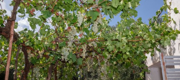 3 Schlafzimmer Haus in Ostuni, Italy, Nr. 328095 40