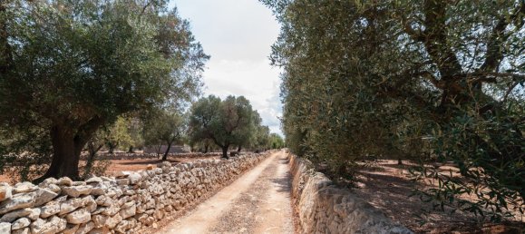 3 Schlafzimmer Haus in Ostuni, Italy, Nr. 328095 15