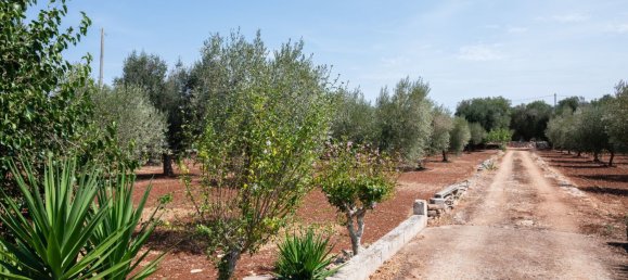 3 Schlafzimmer Haus in Ostuni, Italy, Nr. 328095 36