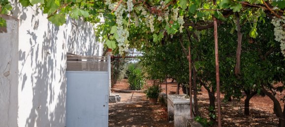 3 Schlafzimmer Haus in Ostuni, Italy, Nr. 328095 41