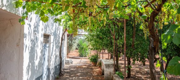 3 Schlafzimmer Haus in Ostuni, Italy, Nr. 328095 49