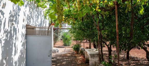 3 Schlafzimmer Haus in Ostuni, Italy, Nr. 328095 42