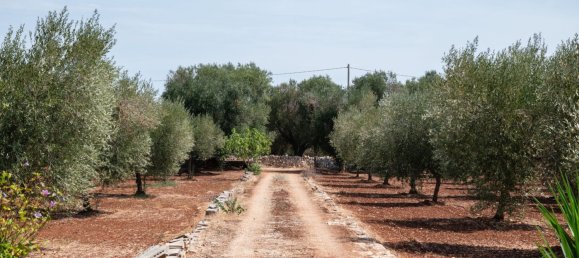 3 Schlafzimmer Haus in Ostuni, Italy, Nr. 328095 34