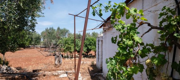 3 Schlafzimmer Haus in Ostuni, Italy, Nr. 328095 45