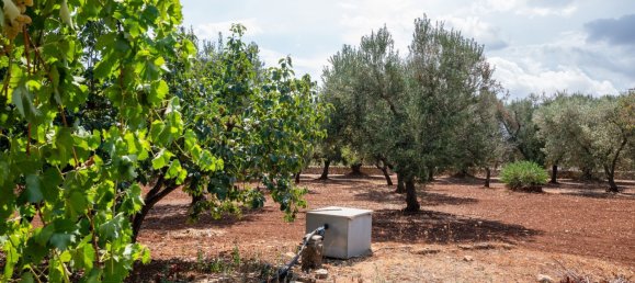 3 Schlafzimmer Haus in Ostuni, Italy, Nr. 328095 48