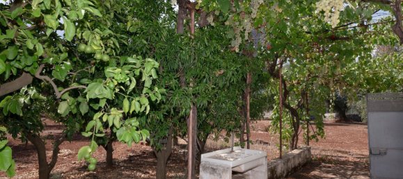 3 Schlafzimmer Haus in Ostuni, Italy, Nr. 328095 39