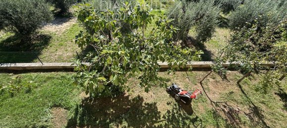 7 rooms House in Castiglione del Lago, Italy No. 234627 8