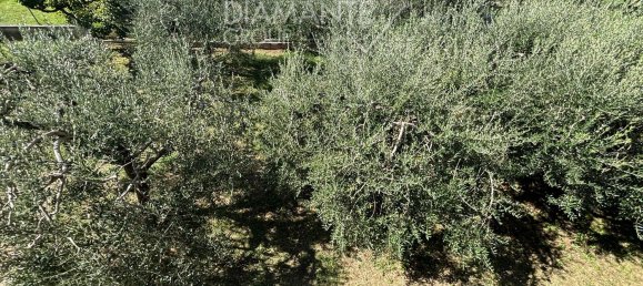 7 rooms House in Castiglione del Lago, Italy No. 234627 6