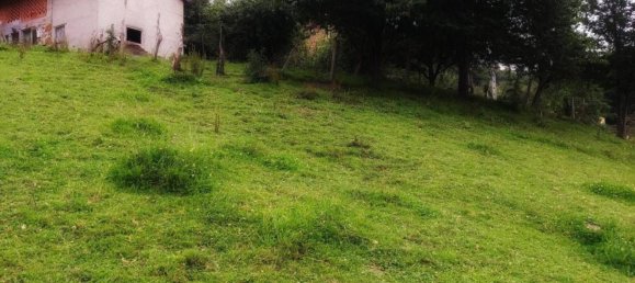  قطعة أرض في Laviana, Spain 8122متر مربع رقم 164456 9