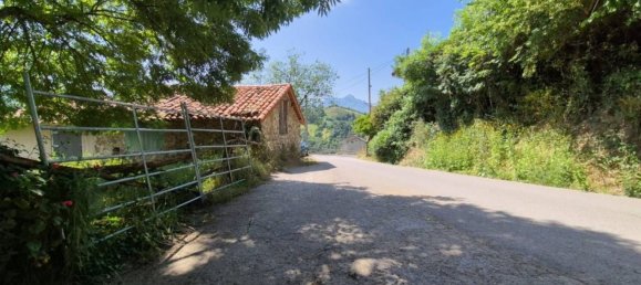  قطعة أرض في Laviana, Spain 8122متر مربع رقم 164456 11